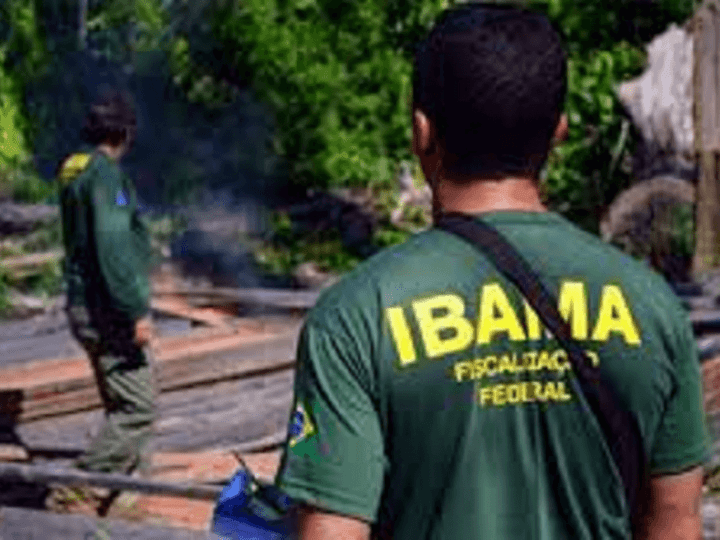 Concurso Ibama: mesmo com recomendação do MPF, instituto ainda espera aval do Ministério da Economia