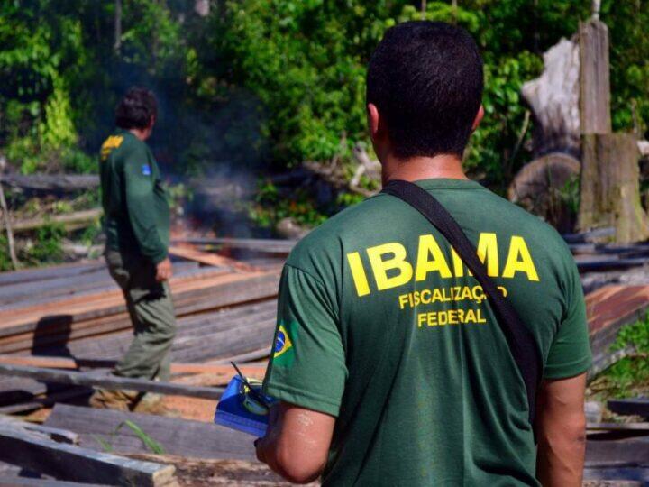 IBAMA abre 1.481 vagas em 18 estados. Confira!